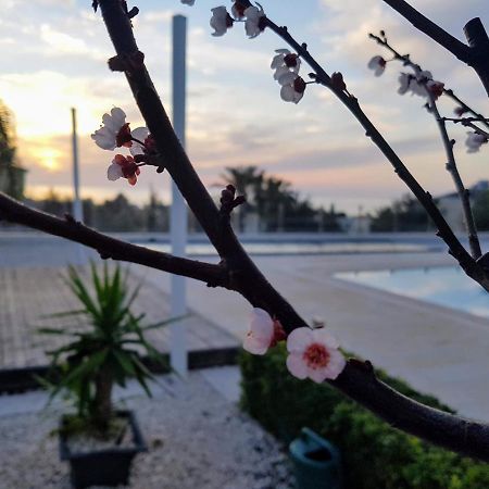 Villa Verdi: Luxury Villa With Private Pool 佩亚 外观 照片