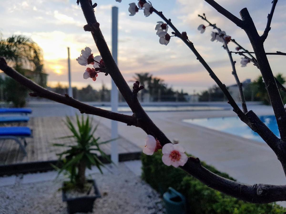 Villa Verdi: Luxury Villa With Private Pool 佩亚 外观 照片